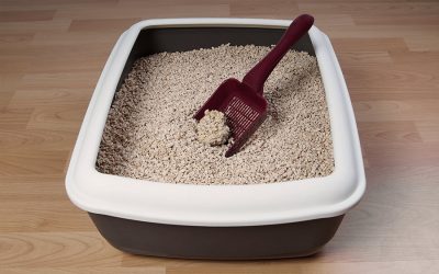 Are you using enough litter boxes?