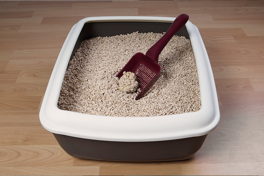 Are you using enough litter boxes for your cats?